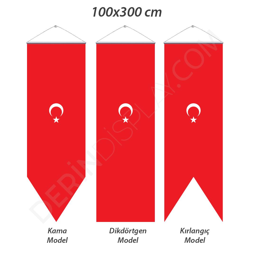 kirlangic-bayrak-100×300-cm-1