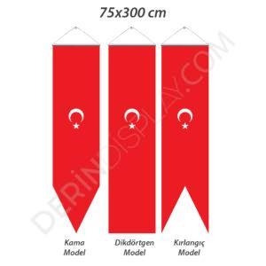 KIRLANGIÇ BAYRAK 75X300 CM